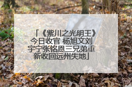《紫川之光明王》今日收官 杨旭文刘宇宁张铭恩三兄弟重新收回远州失地