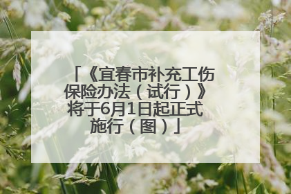 《宜春市补充工伤保险办法（试行）》将于6月1日起正式施行（图）