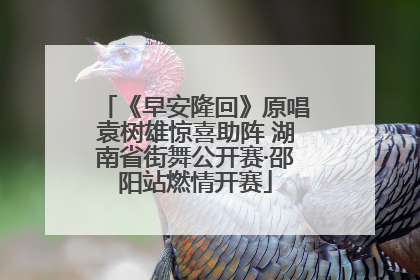 《早安隆回》原唱袁树雄惊喜助阵 湖南省街舞公开赛·邵阳站燃情开赛