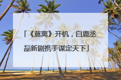 《莫离》开机，白鹿丞磊新剧携手谋定天下