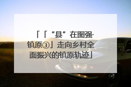 「“县”在图强·镇原③」走向乡村全面振兴的镇原轨迹