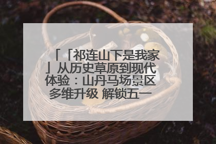 「祁连山下是我家」从历史草原到现代体验：山丹马场景区多维升级 解锁五一文旅新玩法