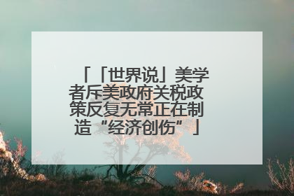 「世界说」美学者斥美政府关税政策反复无常正在制造“经济创伤”