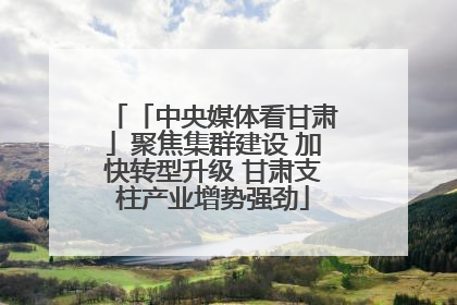 「中央媒体看甘肃」聚焦集群建设 加快转型升级 甘肃支柱产业增势强劲
