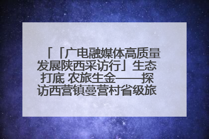 「广电融媒体高质量发展陕西采访行」生态打底 农旅生金——探访西营镇蔓营村省级旅游示范村的振兴密码