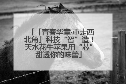 「青春华章·重走西北角」科技“智”造！天水花牛苹果用“芯”甜透你的味蕾