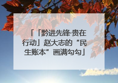 「黔进先锋·贵在行动」赵大志的“民生账本”画满勾勾