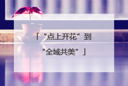 “点上开花”到“全域共美”