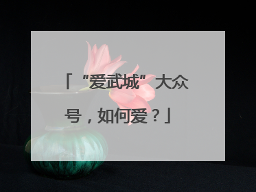 “爱武城”大众号，如何爱？