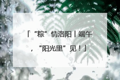 “粽”情洛阳丨端午，“阳光里”见！