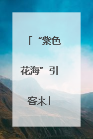 “紫色花海”引客来