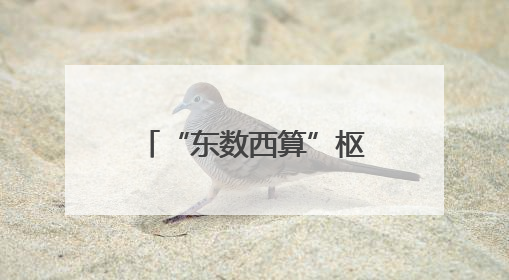 “东数西算”枢纽来沪推介，这里竟是华为云、腾讯和网易的算力“大本营”