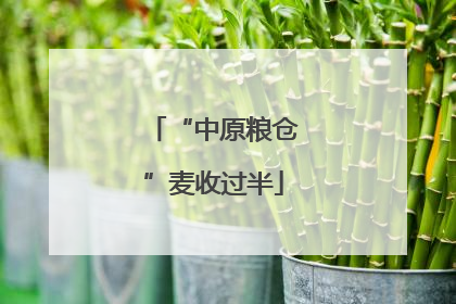 “中原粮仓”麦收过半