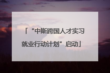 “中斯跨国人才实习就业行动计划”启动