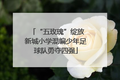 “五玫瑰”绽放 新城小学混编少年足球队勇夺四强