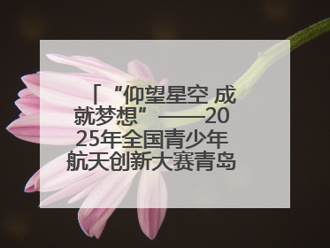 “仰望星空 成就梦想”——2025年全国青少年航天创新大赛青岛选拔赛成功举办
