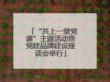 “共上一堂党课”主题活动暨党建品牌建设座谈会举行