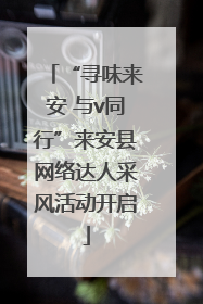 “寻味来安 与v同行”来安县网络达人采风活动开启