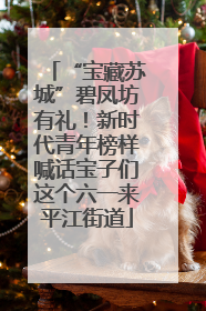 “宝藏苏城”碧凤坊有礼！新时代青年榜样喊话宝子们这个六一来平江街道