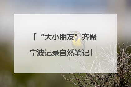 “大小朋友”齐聚宁波记录自然笔记