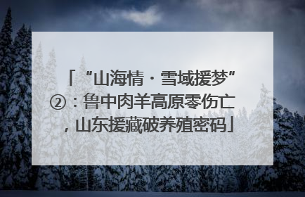 “山海情・雪域援梦”②：鲁中肉羊高原零伤亡，山东援藏破养殖密码