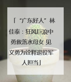 “广东好人”林佳泰：狂风巨浪中勇救落水母女 见义勇为诠释退役军人担当