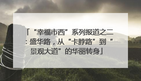 “幸福市西”系列报道之二：盛华路，从“卡脖路”到“景观大道”的华丽转身