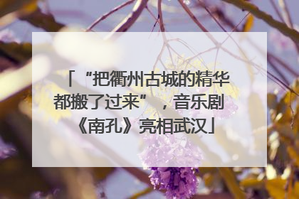“把衢州古城的精华都搬了过来”，音乐剧《南孔》亮相武汉