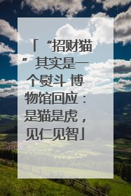 “招财猫”其实是一个熨斗 博物馆回应：是猫是虎，见仁见智