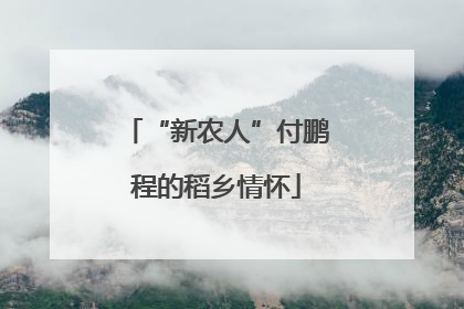 “新农人”付鹏程的稻乡情怀