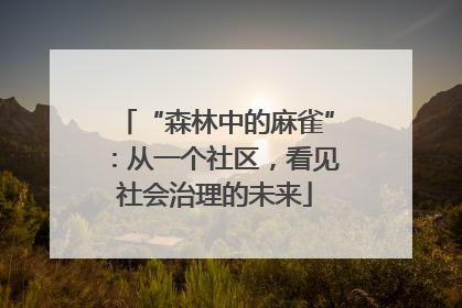 “森林中的麻雀”：从一个社区，看见社会治理的未来