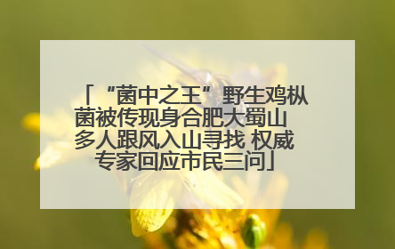 “菌中之王”野生鸡枞菌被传现身合肥大蜀山 多人跟风入山寻找 权威专家回应市民三问