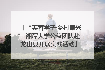 “芙蓉学子·乡村振兴” 湘潭大学公益团队赴龙山县开展实践活动