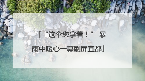 “这伞您拿着！” 暴雨中暖心一幕刷屏宜都