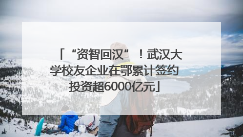 “资智回汉”！武汉大学校友企业在鄂累计签约投资超6000亿元