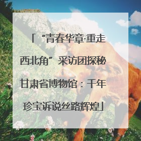 “青春华章·重走西北角”采访团探秘甘肃省博物馆：千年珍宝诉说丝路辉煌