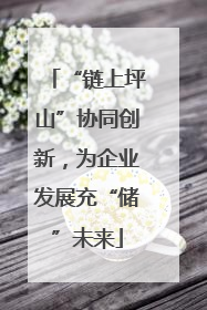 “链上坪山”协同创新，为企业发展充“储”未来