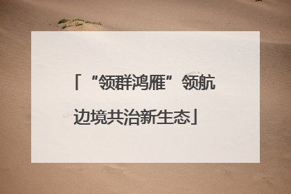 “领群鸿雁”领航边境共治新生态