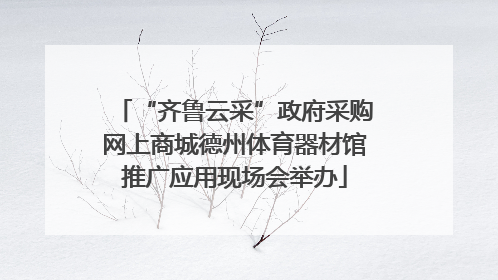 “齐鲁云采”政府采购网上商城德州体育器材馆推广应用现场会举办