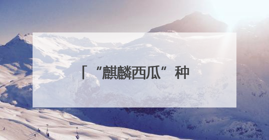“麒麟西瓜”种出“甜蜜”未来