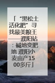 “黑松土活化肥”寻找最美粮王——濮阳站：碱地变肥地 濮阳小麦亩产1500多斤