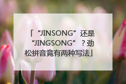 “JINSONG”还是“JINGSONG”？劲松拼音竟有两种写法