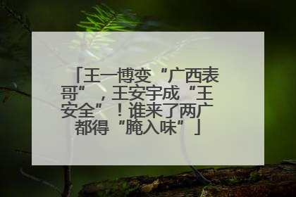王一博变“广西表哥”，王安宇成“王安全”！谁来了两广都得“腌入味”
