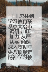 王忠林到学习教育联系点大冶市调研 加压加力 从严从实 确保深入贯彻中央八项规定精神学习教育取得实效
