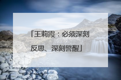 王莉霞：必须深刻反思、深刻警醒