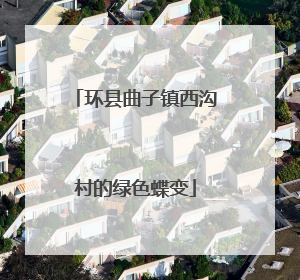 环县曲子镇西沟村的绿色蝶变