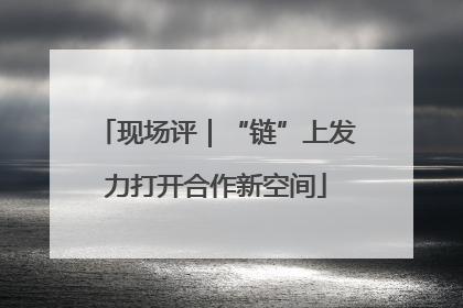 现场评｜“链”上发力打开合作新空间