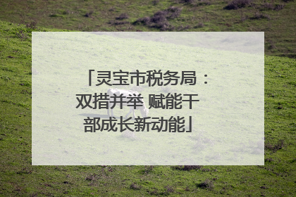 灵宝市税务局：双措并举 赋能干部成长新动能