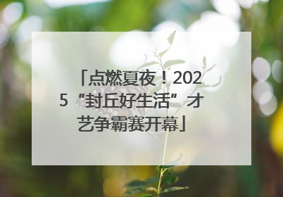 点燃夏夜！2025“封丘好生活”才艺争霸赛开幕
