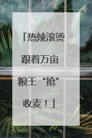 热辣滚烫 跟着万亩粮王“抢”收麦！
